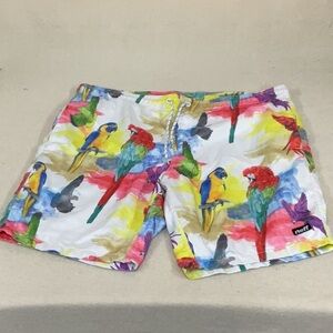 EUC Mens NEFF swim trunks with mesh lining